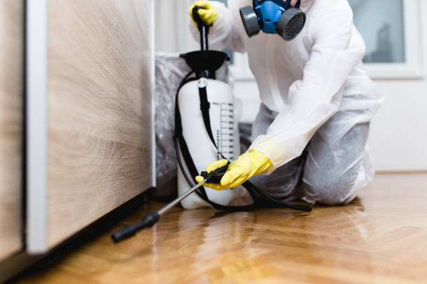 Best Local Pest Control Services  in New Haven, MI