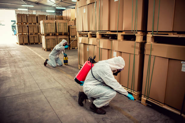 Best Affordable Pest Control Services  in New Haven, MI