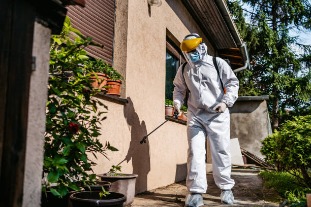 Trusted New Haven, MI Pest Control Experts