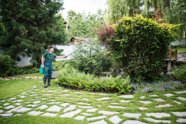 Best Affordable Pest Control Services  in New Haven, MI