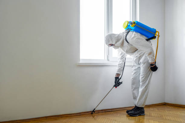 Best Pest Prevention Services  in New Haven, MI