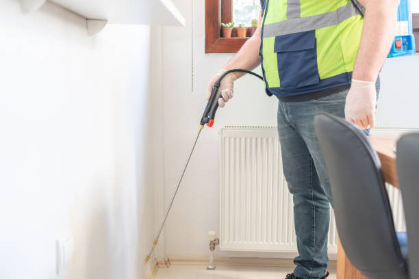 Best Wasp Removal Services  in New Haven, MI